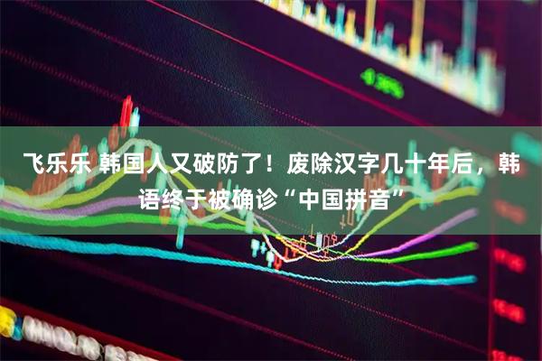 飞乐乐 韩国人又破防了！废除汉字几十年后，韩语终于被确诊“中国拼音”