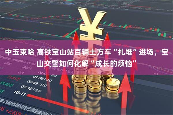 中玉束哈 高铁宝山站百辆土方车“扎堆”进场，宝山交警如何化解“成长的烦恼”
