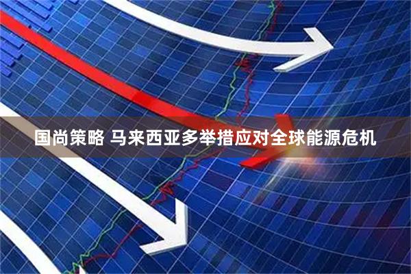 国尚策略 马来西亚多举措应对全球能源危机
