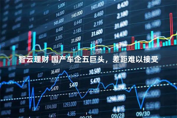 智云理财 国产车企五巨头，差距难以接受